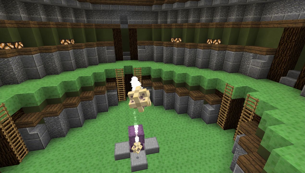 image for 2Levitation PVP MCPE map
